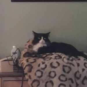 Meet your Posher, Megan